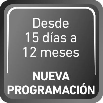 cuatro grasas para rodamientos