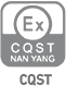 Icono certificado CQST